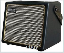 30 Watt Bluetooth Speaker Rechargeable Portable Acoustic Guitar Amp