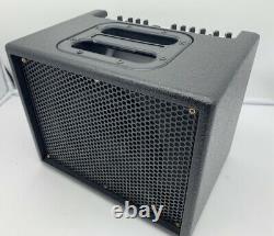 AER Compact 60/2 Twin Channel Acoustic Guitar/Vocal Amplifier 60W 8 Speaker