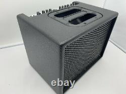 AER Compact 60/2 Twin Channel Acoustic Guitar/Vocal Amplifier 60W 8 Speaker