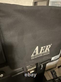 AER Domino 3 2x8 200W Stereo Acoustic Guitar Combo Amp