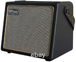 Acoustic Guitar Amplifier 30 Watt Bluetooth Speaker Rechargeable