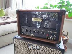 Ameson Rs50 Jazz Guitar Valve Amplifier + Ev Speaker Cabinet Superb Sound