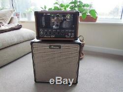 Ameson Rs50 Jazz Guitar Valve Amplifier + Ev Speaker Cabinet Superb Sound