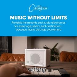 Amplifier Speaker for Guitars, Drums, Keyboards &