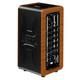 Aroma 60 Watts Bluetooth Acoustic Guitar Amplifier Ag60a