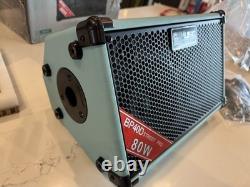 BP40D Powered Acoustic Guitar Amplifier- Portable Bluetooth Speaker 80W WithBat