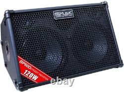 BP60D 120W Battery Powered Acoustic Guitar Amplifier- Portable Bluetooth Speaker