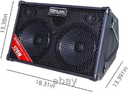 BP60D 120W Battery Powered Acoustic Guitar Amplifier- Portable Bluetooth Speaker