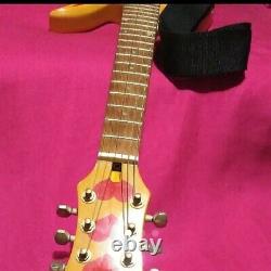 Barney Small Hydemodel Electric Guitar With Built-In Amplifier/Speaker