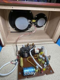 Brian may Deacy Style Amp