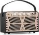 Caline Scuru S8a 20w Acoustic Guitar Amplifier Portable Practice Amp Battery