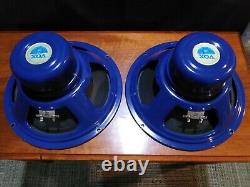 Celestion Alnico Blue Guitar Amp speakers