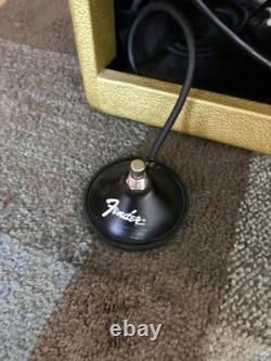 Fender Blues Junior III After The Gold Rush Guitar Amplifier With Mods & Cover