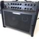 Fishman Loudbox 100 Acoustic Guitar Amplifier