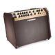 Fishman Loudbox Artist 120w Bluetooth Acoustic Guitar Amplifier