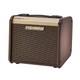 Fishman Loudbox Micro Guitar Amplifier