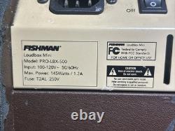 Fishman loudbox mini amplifier