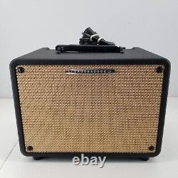 Ibanez T30-H Troubadour Acoustic Guitar Amplifier Tested and Working Great 2014