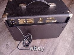 LYON Washburn 25 Watt Guitar AMP LA25DSP 9 Digital Effects Built In GAIN
