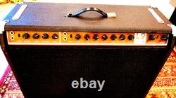 Lab Series L9 Guitar Amplifier 100W Electro-Voice EVM-15L Speaker Moog Combo