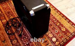 Lab Series L9 Guitar Amplifier 100W Electro-Voice EVM-15L Speaker Moog Combo