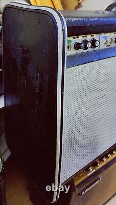 Magnatone MP-2 Tube Combo Amplifier for Bass. (AND Electric Guitar!) Jazz Amp