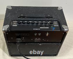 PEWaves G20R-M Guitar combo Amplifier speaker