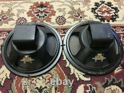 Pair of Vintage Heppner 10 Speakers Guitar Amplifier Ribbed Smooth Cone