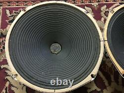 Pair of Vintage Magnavox 12 Speakers 8 Ohms Guitar Amplifier Ribbed Cone