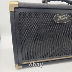 Peavey Ecoustic E208 30W 2x8 Acoustic Guitar Combo Amplifier 03599680 Tested