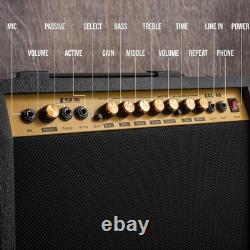 Portable 40-Watt Guitar Amplifier Studio & Stage Combo Amp