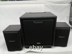 Roland CM-110 monitor speaker set