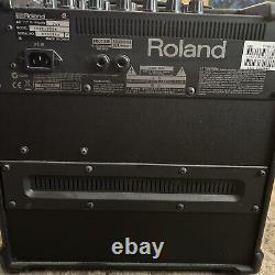 Roland Cube 20GX Guitar Amplifier