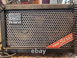 Roland Cube Street Battery Powered Guitar Stereo Amplifiers Microphone