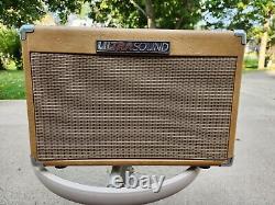 ULTRASOUND AG-30 Acoustic Guitar Amp 30W 1X8 Speaker, Awesome Acoustic Amp