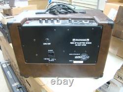 Ultrasound Ag50r Acoustic Guitar Amplifier