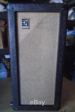 VINTAGE 1968 MAESTRO By GIBSON 2x10 CTS SPEAKERS, PLUS 50 WATT SLAVE AMP INSIDE