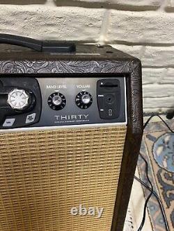 AMPLIFICATEUR ÉLECTRIQUE FENDER G-DEC 30 TESTÉ, MODÉLISATION DE GUITARE, ENTRAÎNEUR DE RYTHME