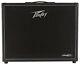 Ampli De Modélisation Pour Guitare Peavey Vypyr X2