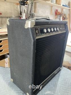 Amplificateur Combo Zeppelin 35 G-S 1 X 12, Puissant