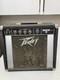 Amplificateur Peavey Backstage 30 (1978) Haut-parleur Eminence Peavey D'origine
