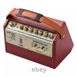 Amplificateur acoustique portable 25W, amplificateur rechargeable, haut-parleur BT sans fil