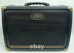 Amplificateur combo acoustique Peavey Ecoustic E208 30W 2x8 pour guitare acoustique 03599680 (38246-9)