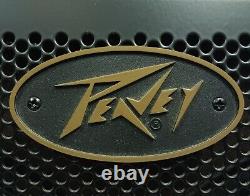 Amplificateur combo acoustique Peavey Ecoustic E208 30W 2x8 pour guitare acoustique 03599680 (38246-9)