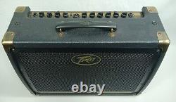 Amplificateur combo acoustique Peavey Ecoustic E208 30W 2x8 pour guitare acoustique 03599680 (38246-9)