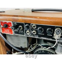 Amplificateur de guitare Mesa/Boogie Mark III avec cabinet en bois, amplificateur à lampes testé et fonctionnel, Japon