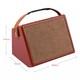 Amplificateur De Guitare Acoustique Ac-25 25w, Amplificateur Rechargeable, Haut-parleur Bt Sans Fil