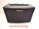 Amplificateur De Guitare Acoustique Roland Ac-33