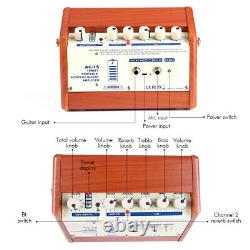Amplificateur de guitare acoustique portable Ammoon 15W avec haut-parleur BT rechargeable W2V5