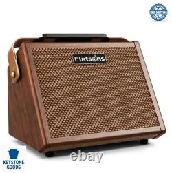 Amplificateur pour guitare acoustique 20 W à double canal, haut-parleur de 5,5 pouces, réverbération, égaliseur 2 bandes, batterie
